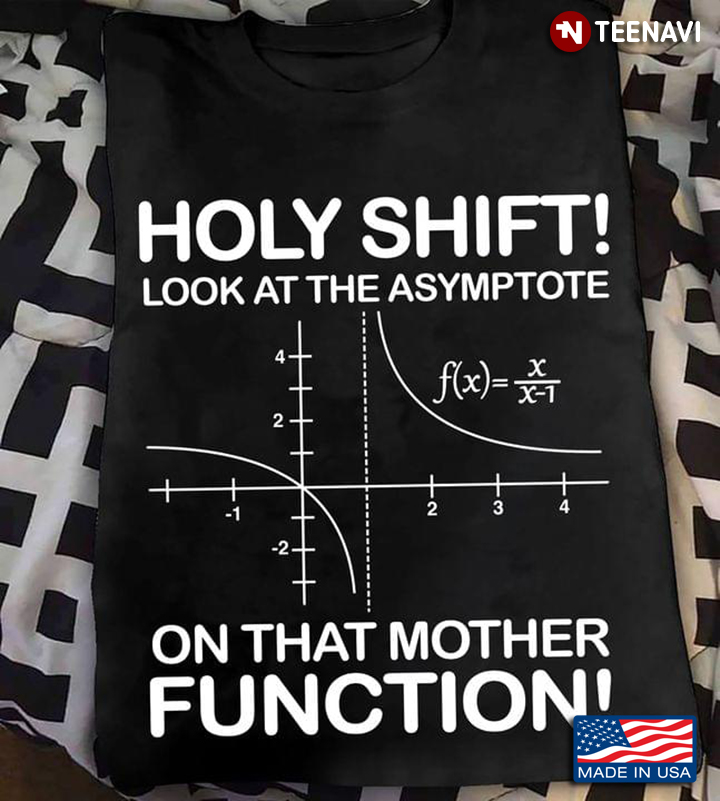 Holy Shift Look At The Asymptote On That Mother Function For Math Lover