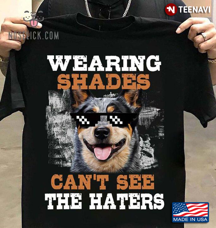 Australian Cattle Dog Wearing Shades Can't See The Haters For Dog Lover