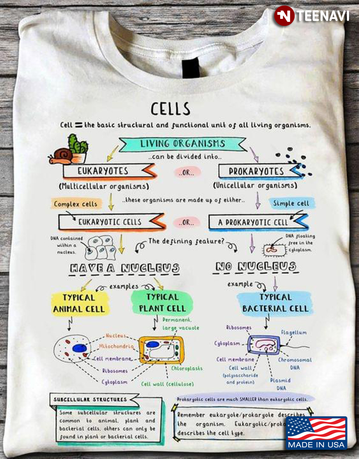 Cells The Basic Structural And Functional Unit Of All Living Organisms