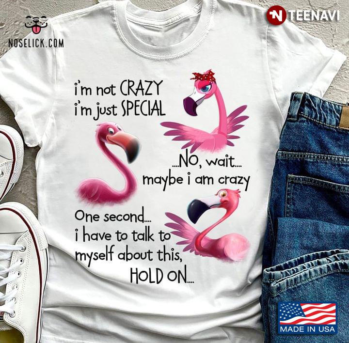 Flamingo I’m Not Crazy I’m Just Special No Wait Maybe I Am Crazy One Second I Have To Talk To Myself