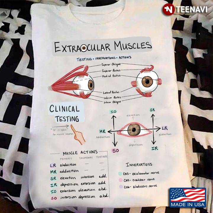 Extraocular Muscles Testing Innervations Actions Eyes
