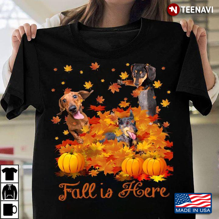 Fall Is Here Dachshunds And Pumpkins For Dog Lover