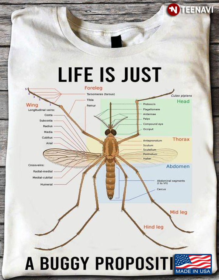 Life Is Just A Buggy Proposition Mosquito The Anatomy Of Mosquito