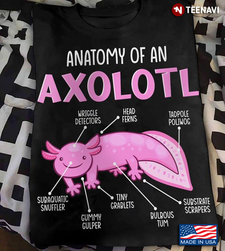 Pink Axolotl Anatomy Of An Axolotl For Animal Lover