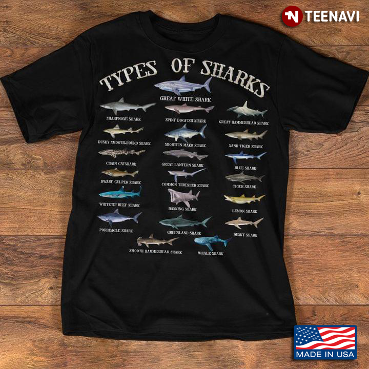 Types Of Sharks Marine Biology For Shark Lover