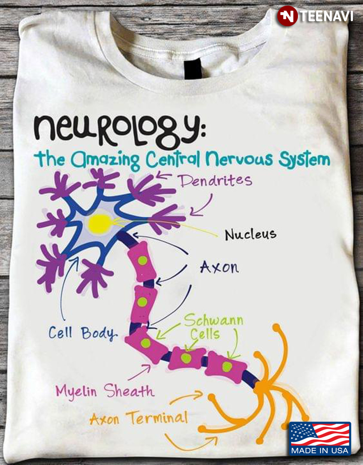 Neurology The Amazing Central Nervous System