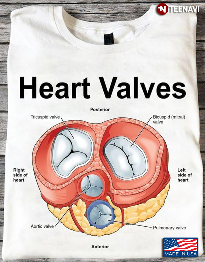 Heart Valves Heart For Cardiology Lover