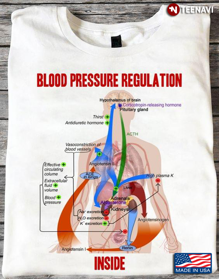 Blood Pressure Regulation Inside