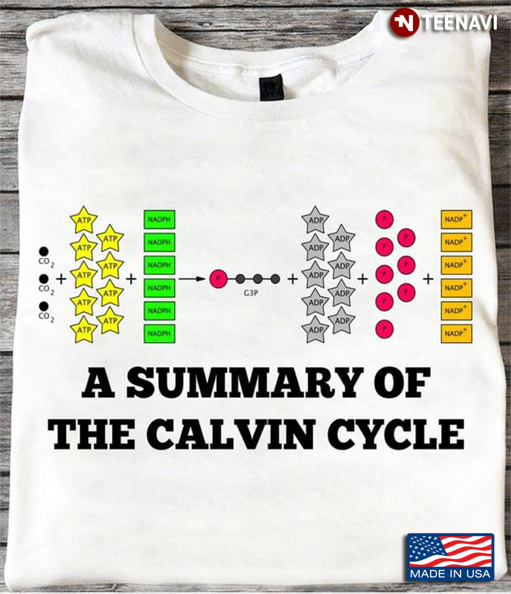 A Summary Of The Calvin Cycle For Chemistry Lover