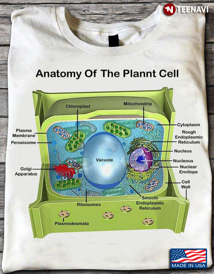 Anatomy Of The Plannt Cell