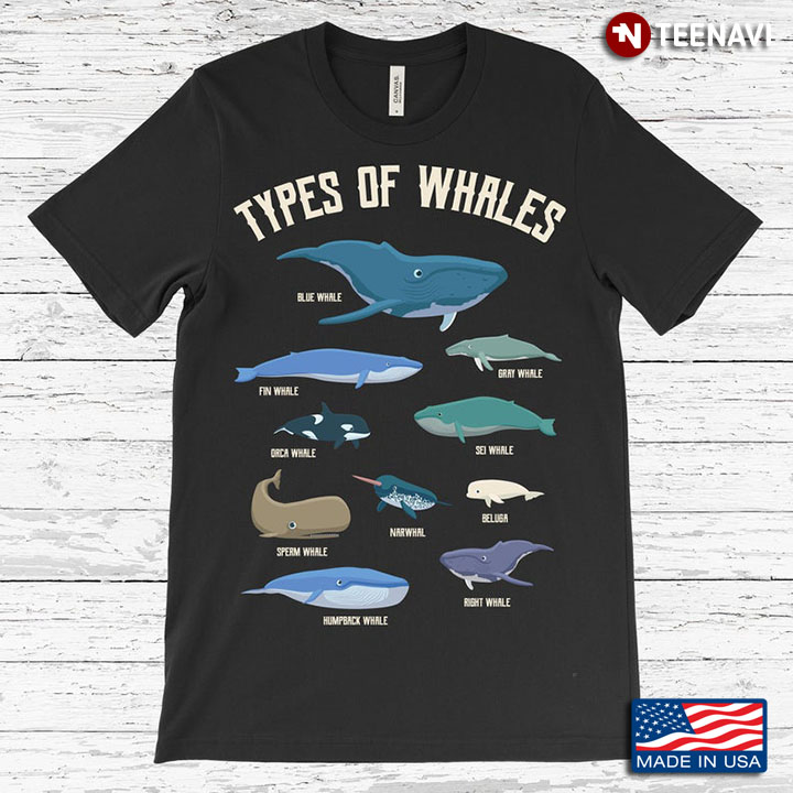 Type Of Whales Animals Lover Gifts For Marine Biologist