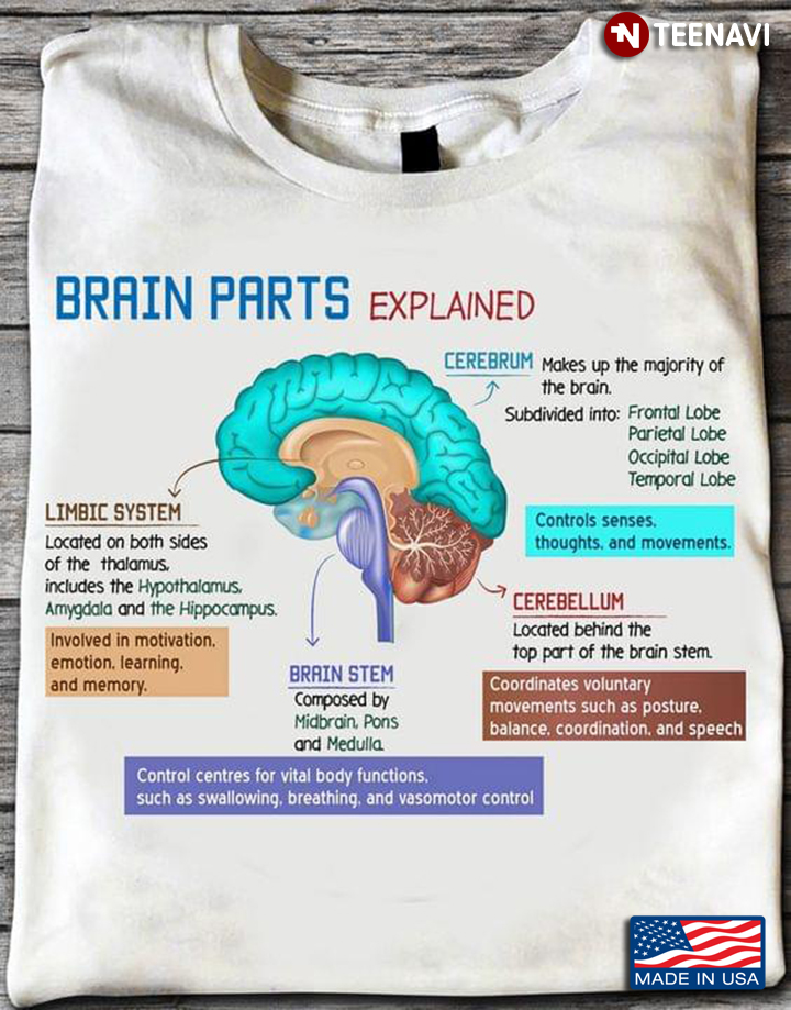 Brain Parts Explained Cerebrum Cerebellum Brain Stem Limbic System