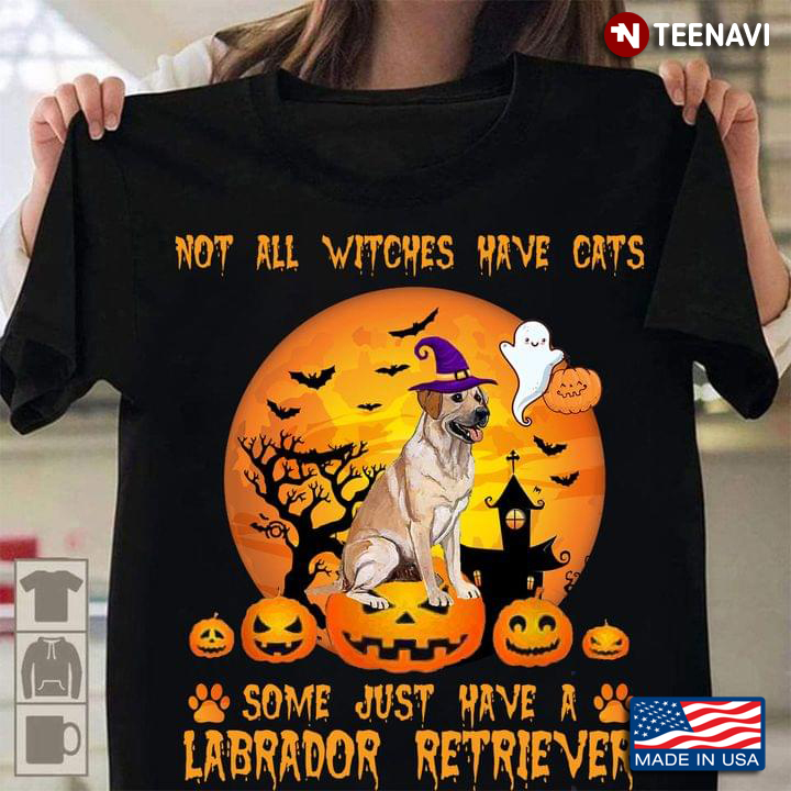 Not All Witches Have Cats Some Just Have A Labrador Retriever For Halloween