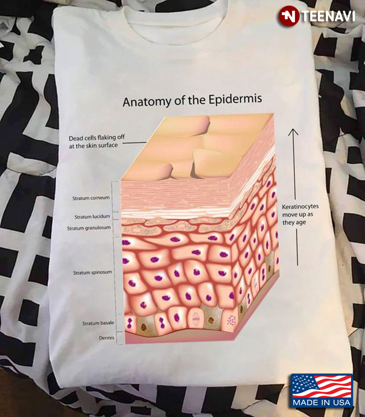 Anatomy Of The Epidermis The Skin Gifts For Dermatologist
