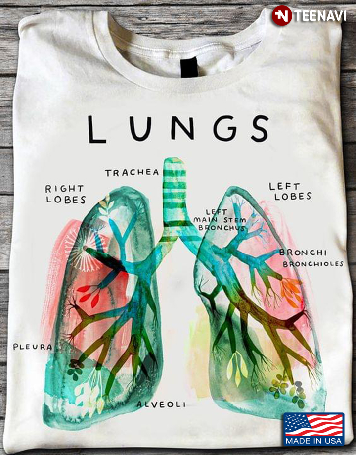 Lungs The Anatomy Of Lungs Human Health