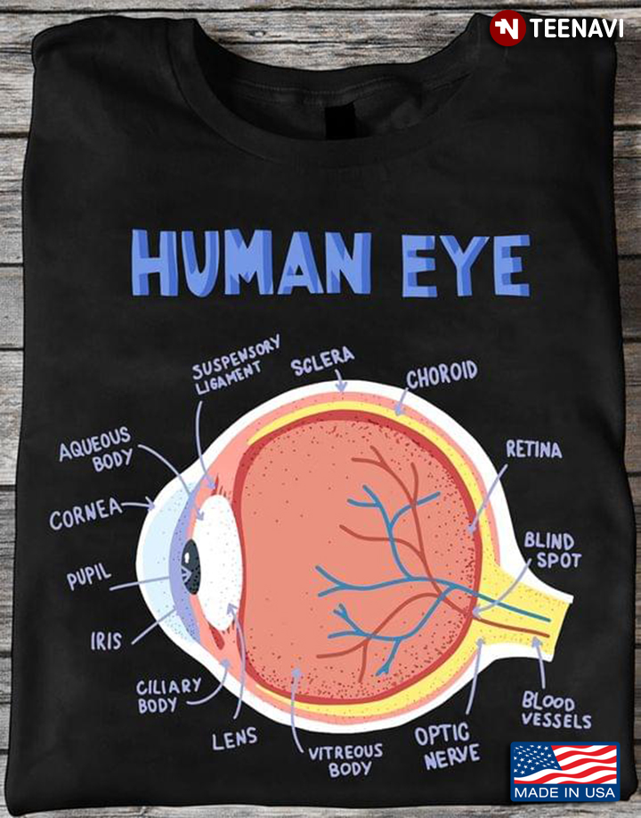 Human Eye The Anatomy Of The Eye