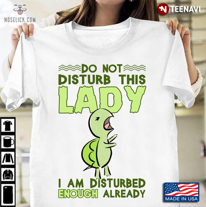 Best Turtle Do Not Disturb This Lady I Am Disturbed Enough Already