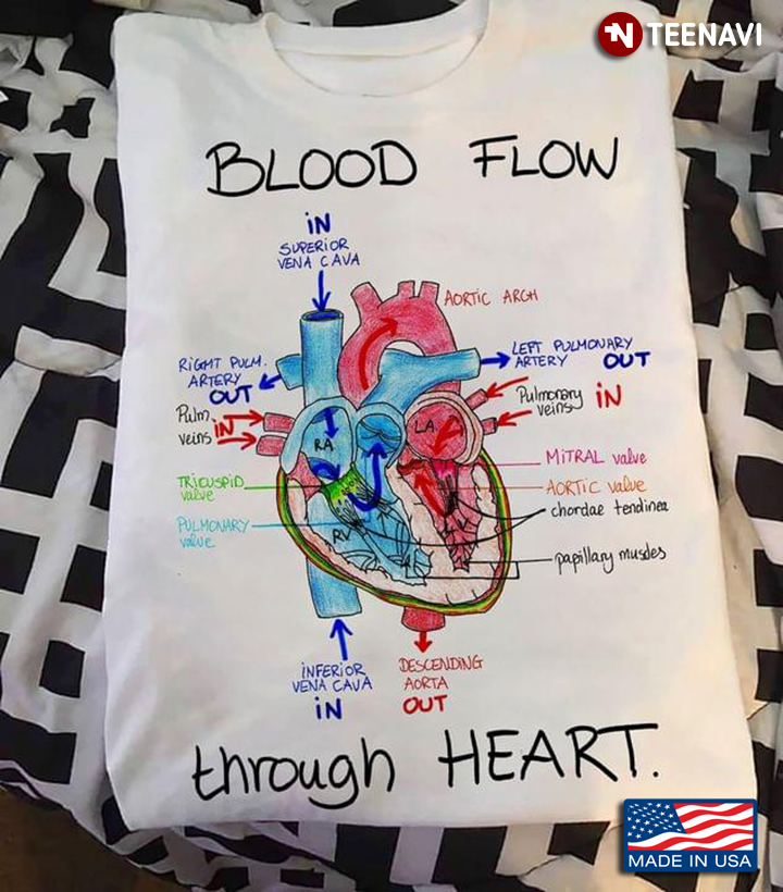 Blood Flow Through Heart