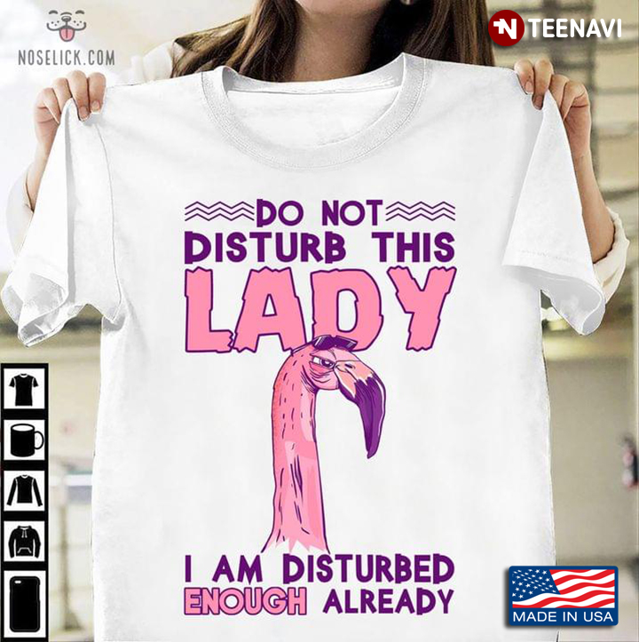 Angry Flamingo Do Not Disturb This Lady I Am Disturbed Enough Already