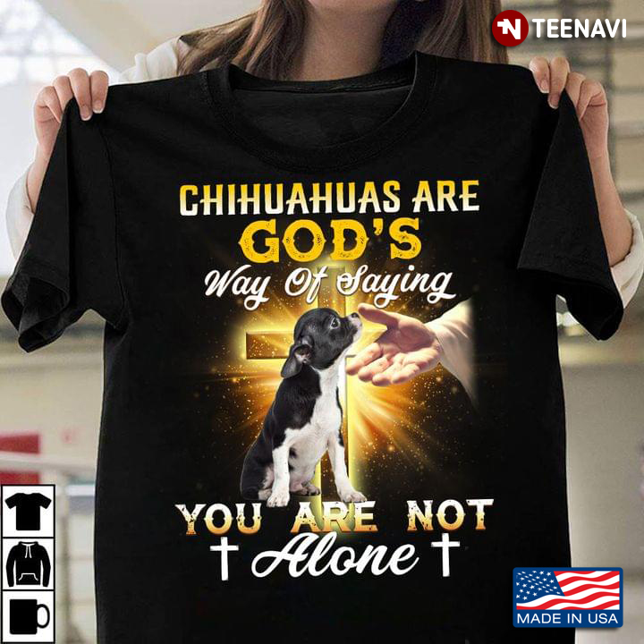 Chihuahuas Are God’s Way of Saying You Are Not Alone