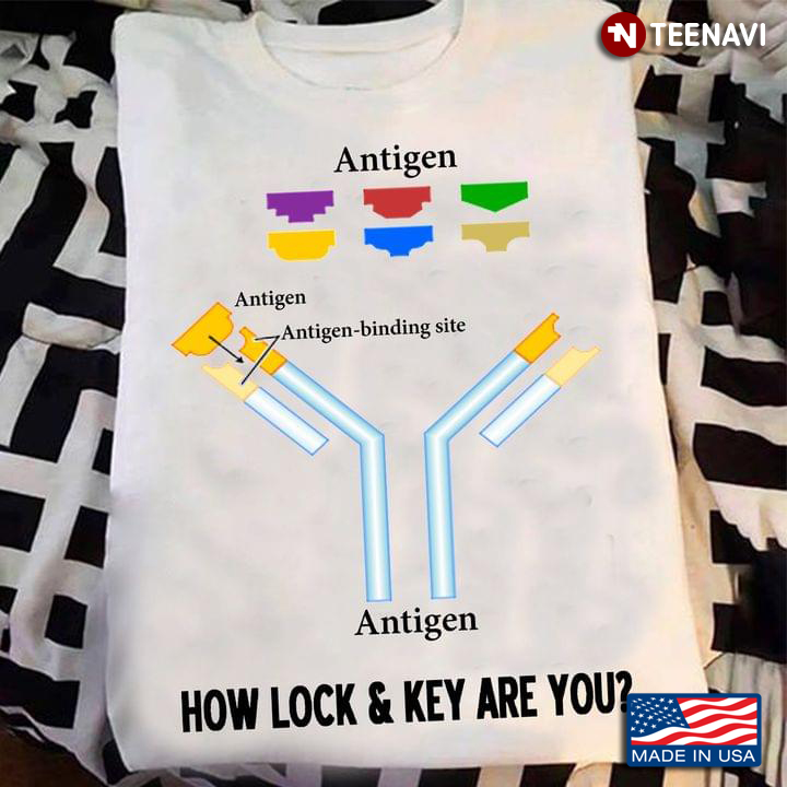 Antigen How Lock And Key Are You Biochemistry