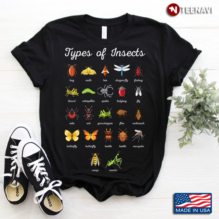 Types Of Insects Insect Butterfly Ladybug Bee