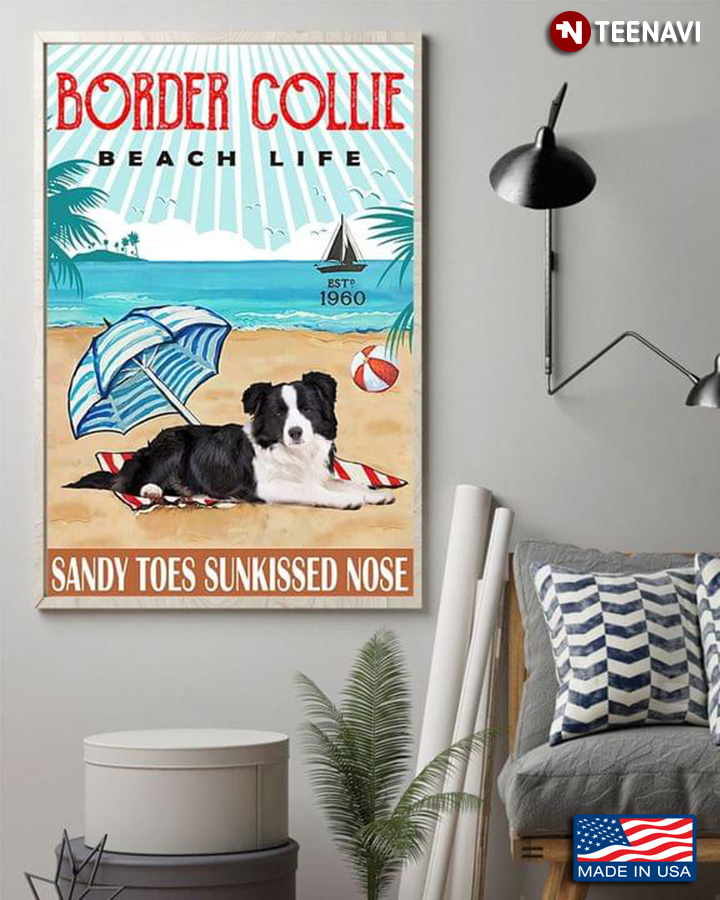 Vintage Border Collie Beach Life Sandy Toes Sunkissed Nose