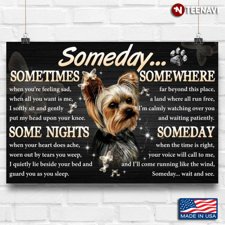 Black Theme White Butterflies Flying Around Yorkshire Terrier Dog Someday Sometimes When You're Feeling Sad When All You Want Is Me