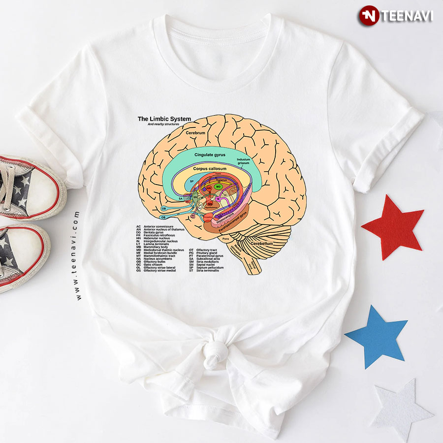 The Limbic System Brain Parts Cerebrum Cerebellum Gyrus Corpus Callosum T-Shirt