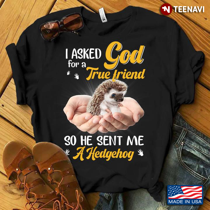 I Asked God For A True Friend So He Sent Me A Hedgehog