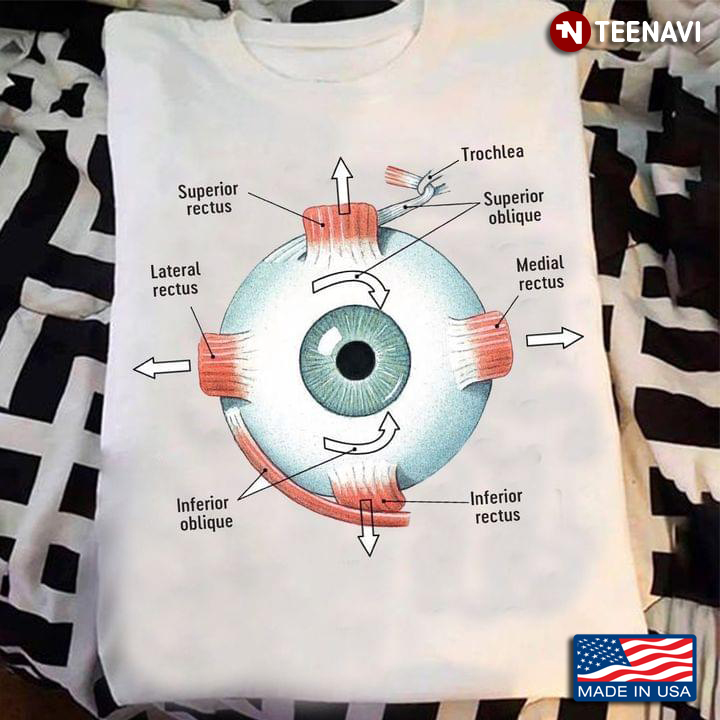 Ophthalmology Eye Movements and Muscles
