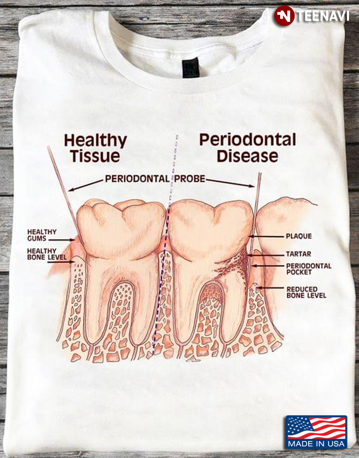 Healthy Tissue Periodontal Disease Dental Health