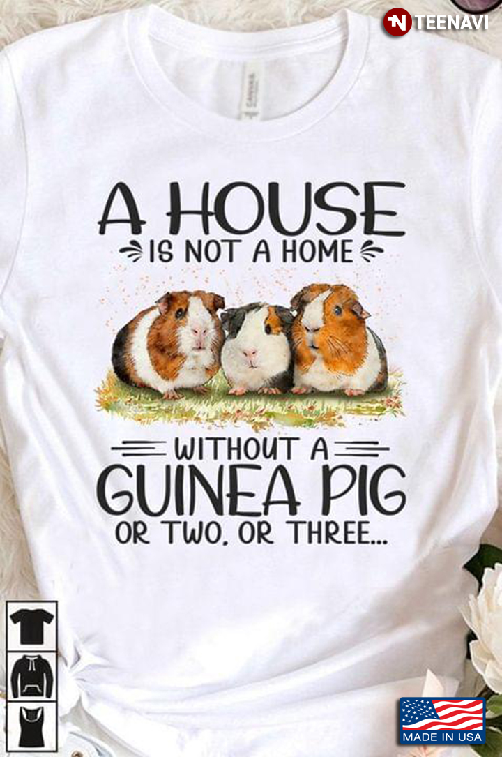 A House is Not A Home Without A Guinea Pig or Two or Three