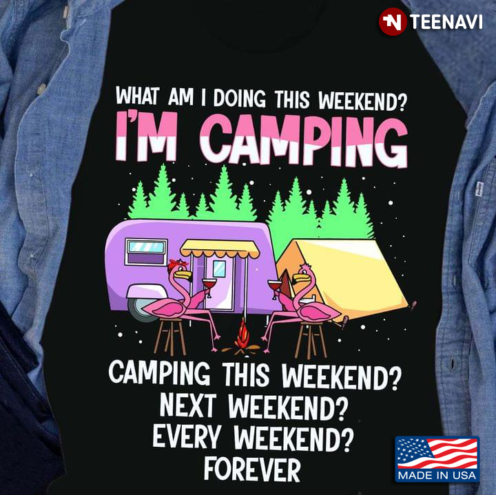 What Am I Doing This Weekend I'm Camping Camping This Weekend Funny for Camper
