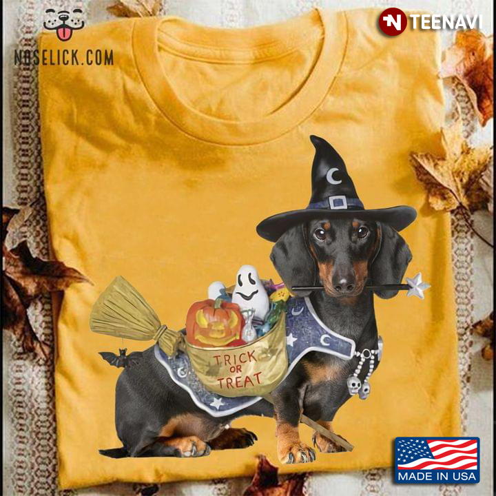 Halloween Dachshund Witch Trick or Treat Funny for Dog Lover