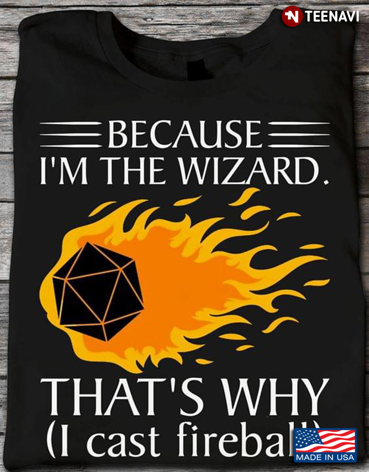 Because I'm The Wizard That's Why I Cast Fireball Dungeons and Dragons