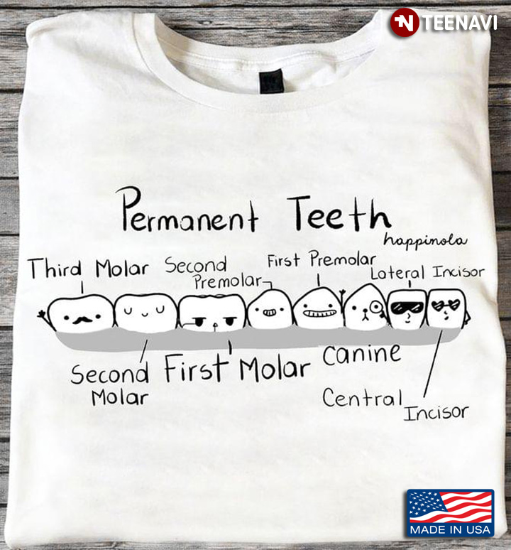 Permanent Teeth Third Molar Second Premolar Dental Theme