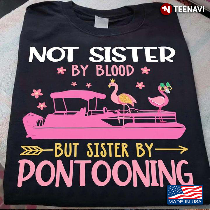 Flamingo Traveling Not SisterBy Blood But Sister By Pontooning