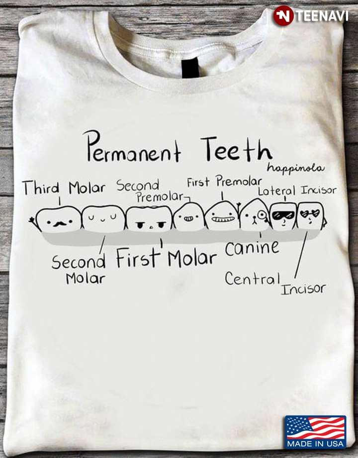 Permanent Teeth Third Molar Second Molar First Molar Second Premolar First Premolar Canine Central