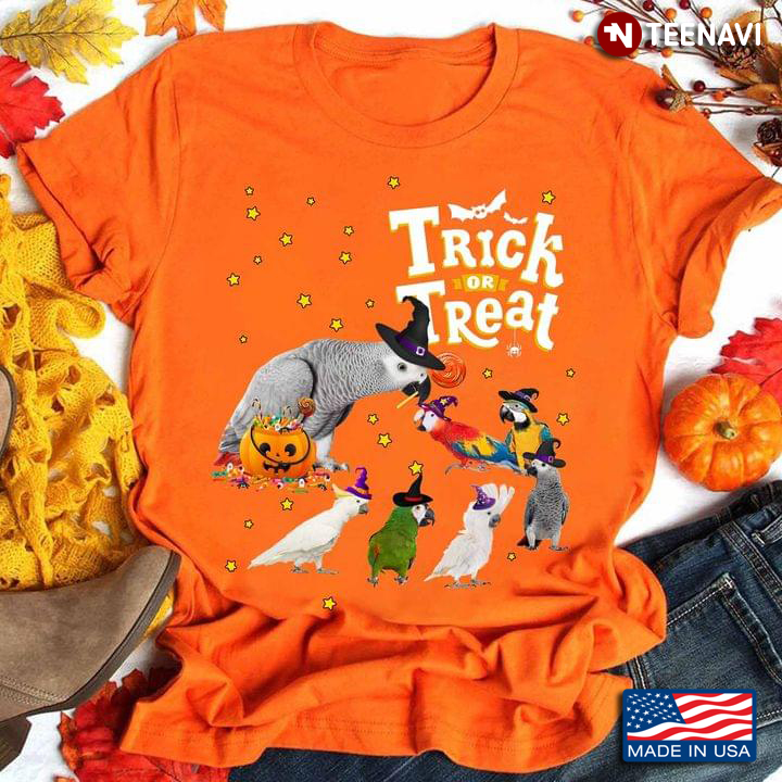 Trick Or Treat Parrot Witches With Pumpkins for Halloween