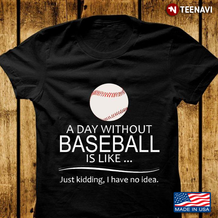 A Day Without Baseball Is Like Just Kidding I Have No Idea for Baseball Lover