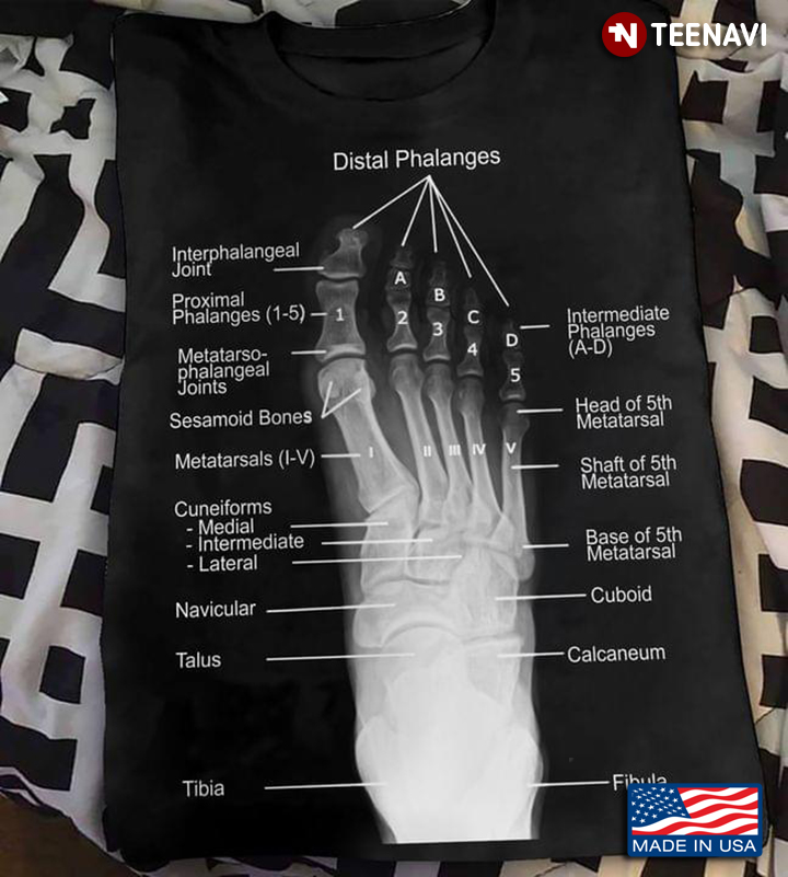 Foot X- Ray Distal Phalanges Medical Radiology for Radiologist