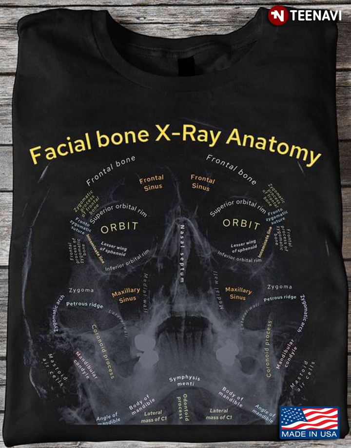 Facial Bone X- Ray Anatomy Medical Radiology for Radiologist