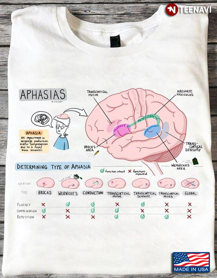 Aphasias Determining Type Of Aphasia Human Brain for Neurologist