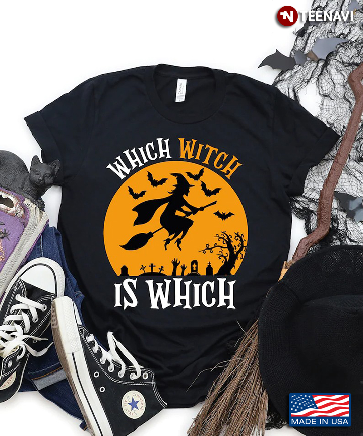 Which Witch Is Which Witch Riding Broom for Halloween