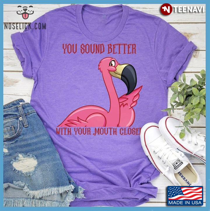 Funny Flamingo You Sound Better With Your Mouth Closed