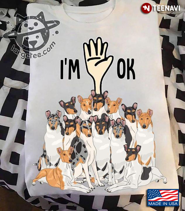 I'm Ok Full Of Basenji Funny Design for Dog Lover