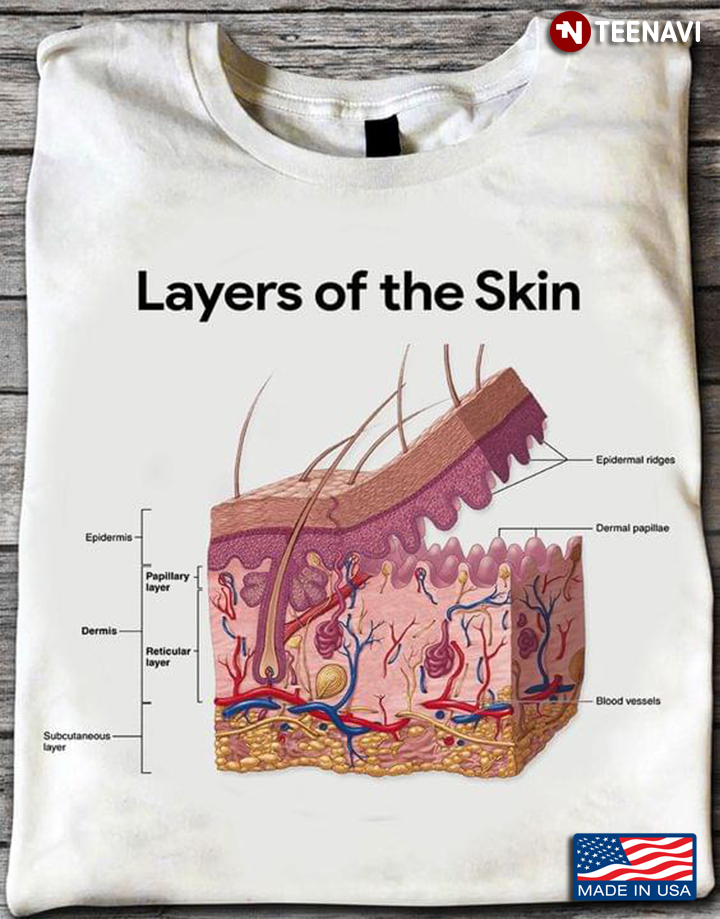Layers Of The Skin Anatomy Of The Skin for Dermatologist