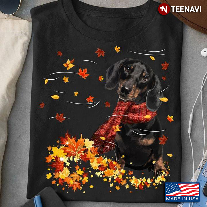 Dachshund With Scarf And Autumn Leaves Happy Fall