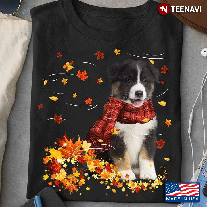 Border Collie Puppy With Scarf And Autumn Leaves Happy Fall
